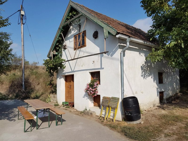 Gastezimmer Wohlmuth