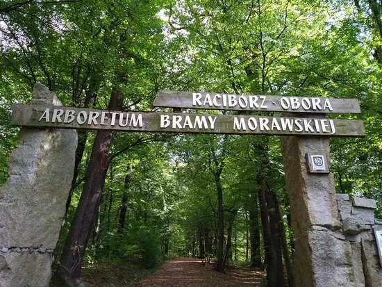 Aboretum Bramy Morawskiej
