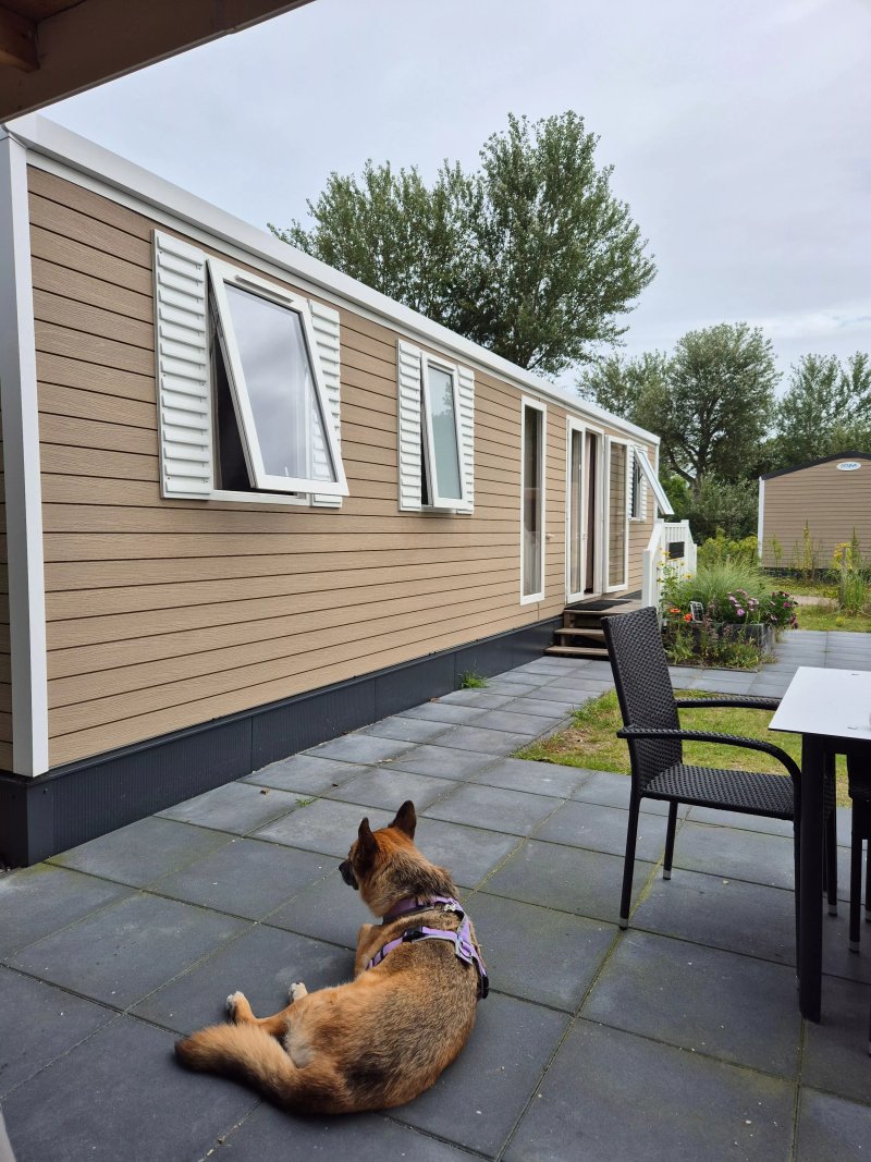 Siblu Camping Lauwersoog