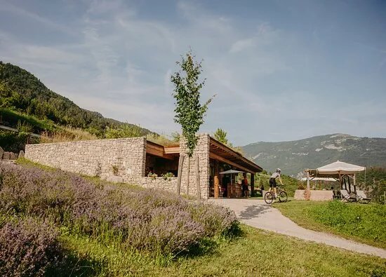 Azienda Agricola & Agriturismo Il Ritorno