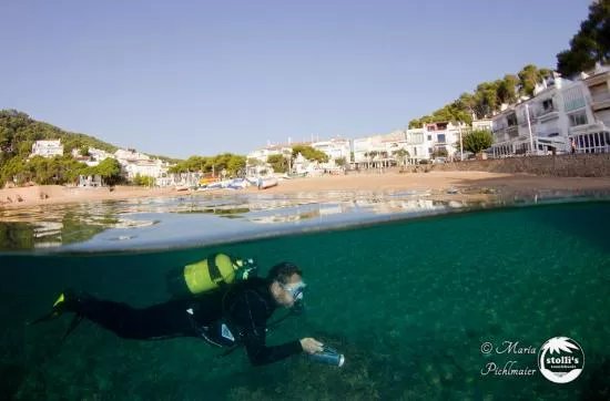 Stolli's Divebase