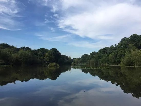 Jacks Lake