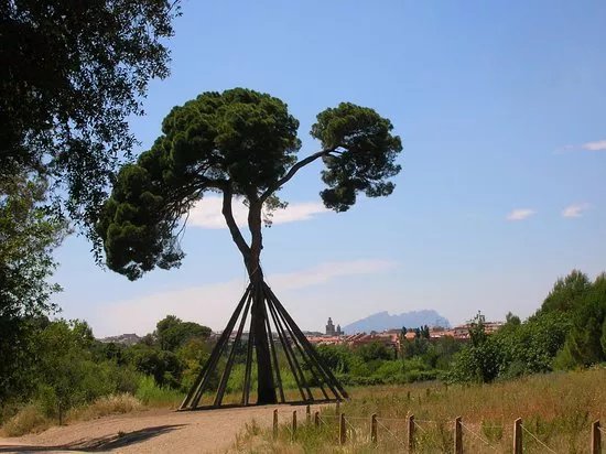 El Pi d'en Xandri
