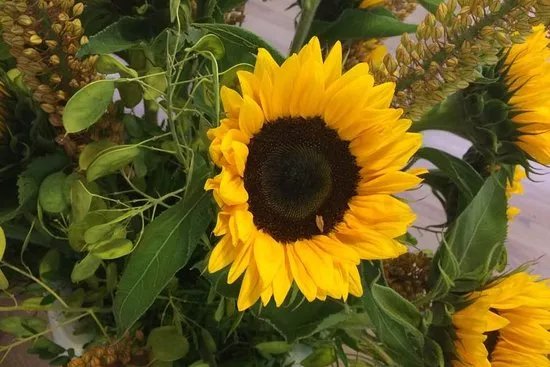 Rikkers bloemen en planten