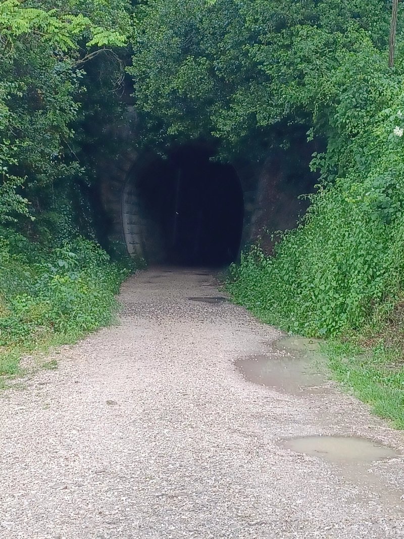 Motovun Parenzana Tunnel