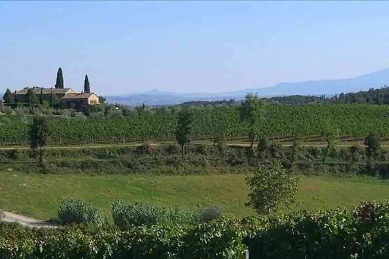 Air Conditioned 15th Century House with Pool on Wine Estate