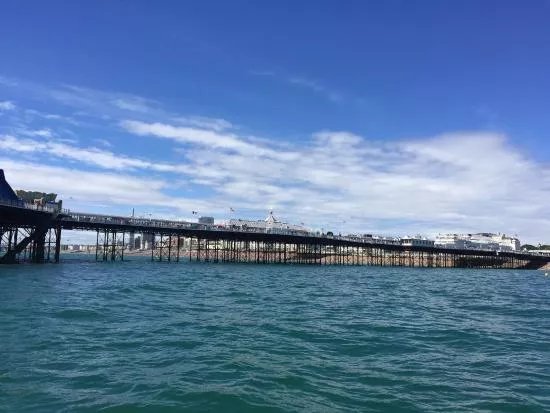 Marina Water Tours