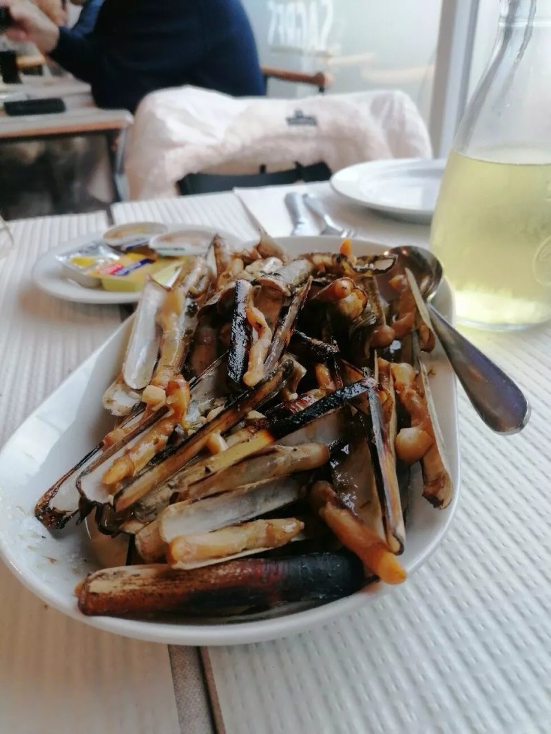 Stein Grill