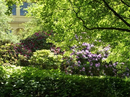 Botanical Garden of the Department of Charles University