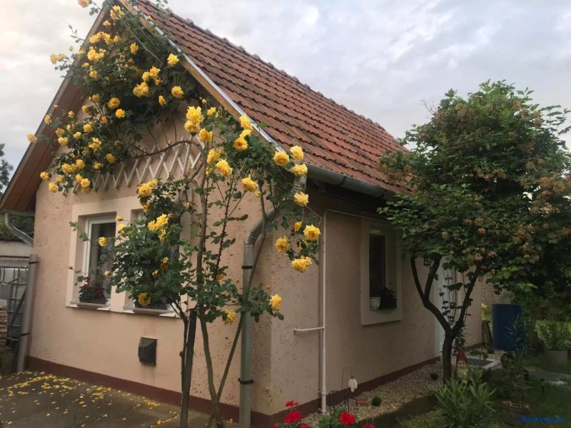 Guest House Rozsakert