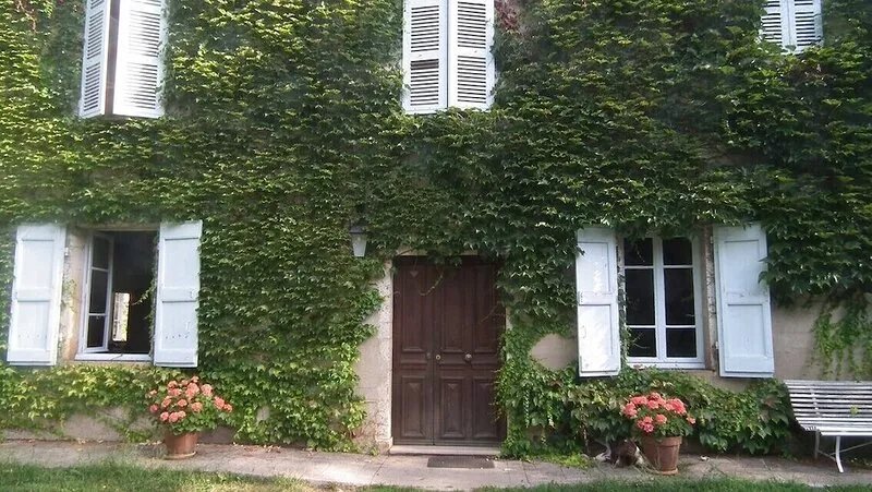 Large charming house on 5000m2 of enclosed land planted with trees in Rothonod