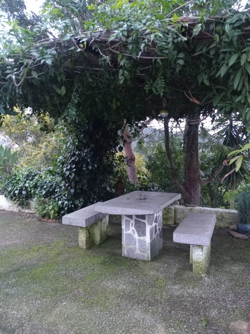 My House - Casa Charme