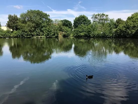 Tudor Grange Park