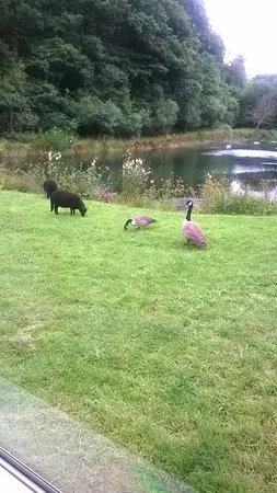 Bellbrook Valley Trout Fishery