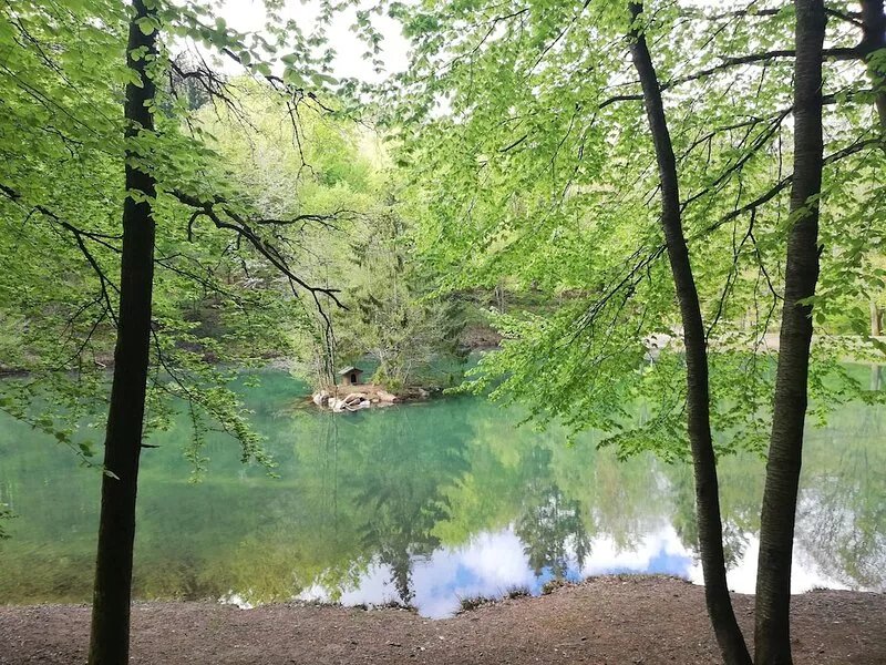 Spacious holiday home near Trier. Ideal for hiking, cycling or just relaxing