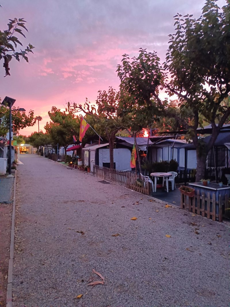 Camping Florida