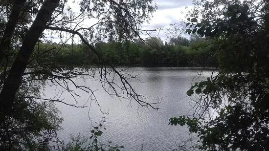 The Bromham Lake Nature Reserve.