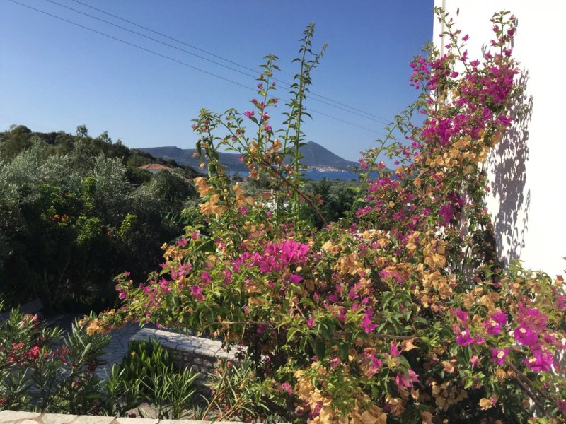 Palaiokastro Villas