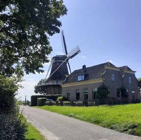 Molen 'de Zwaluw' (1784)