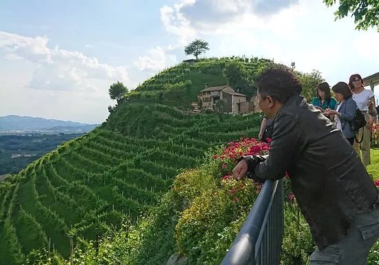 Prosecco Experience