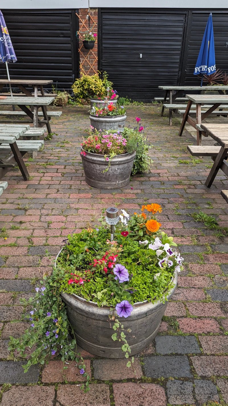 The Bowling Green