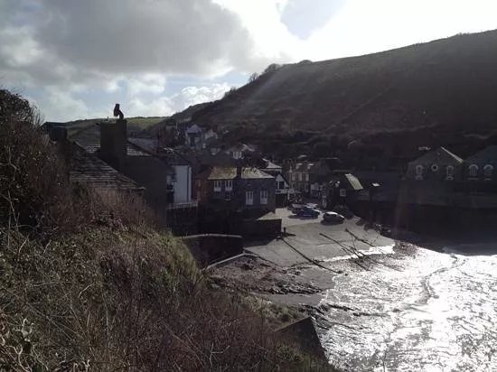 Port Isaac and Portwenn, Walk & Talk Guided Tours