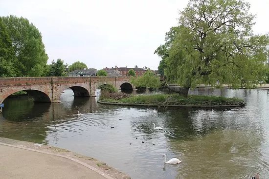 Tramway Bridge