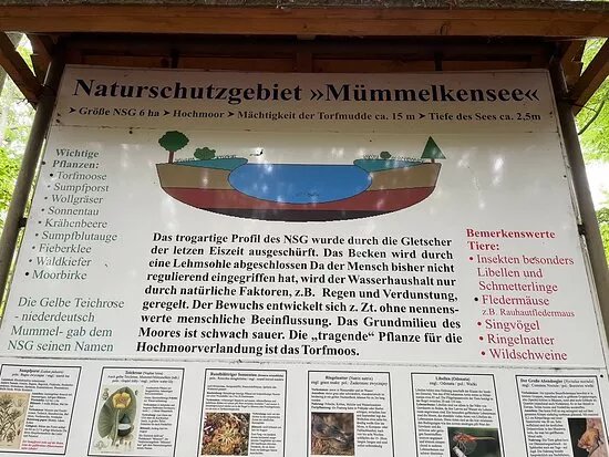 Mummelkensee