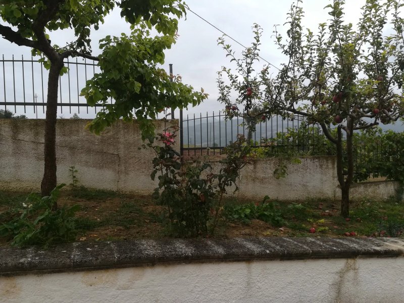 B&B IL Colle Del Nibbio