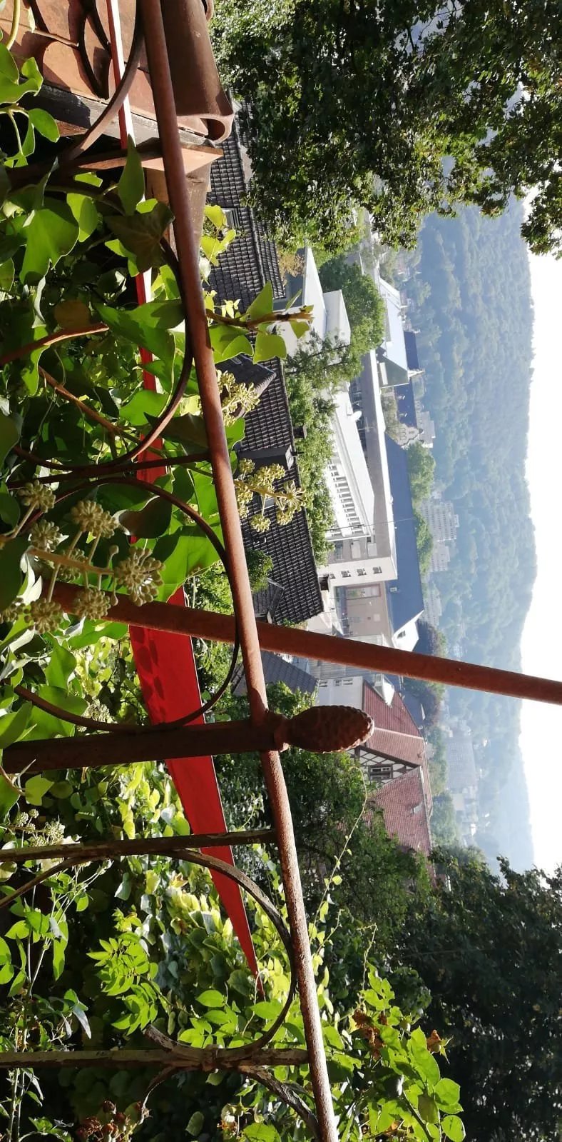 Jugendherberge Giessen