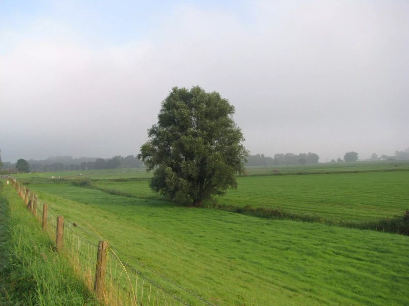 Bed & Breakfast De Boerderij