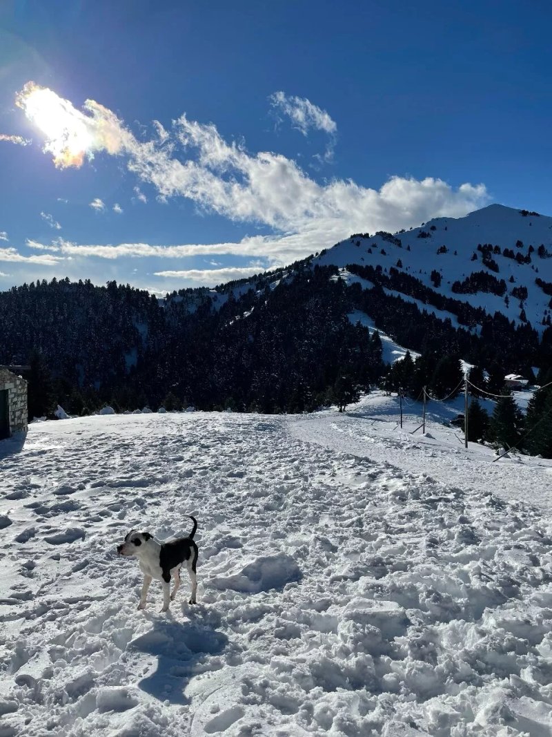Agrafa Shelter
