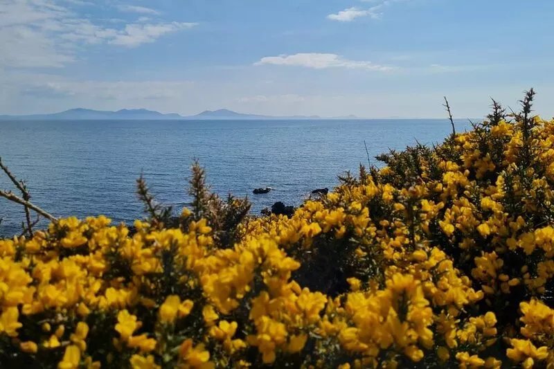 Spring Tide: Newly refurbished, pet-friendly holiday home in Rhosneigr