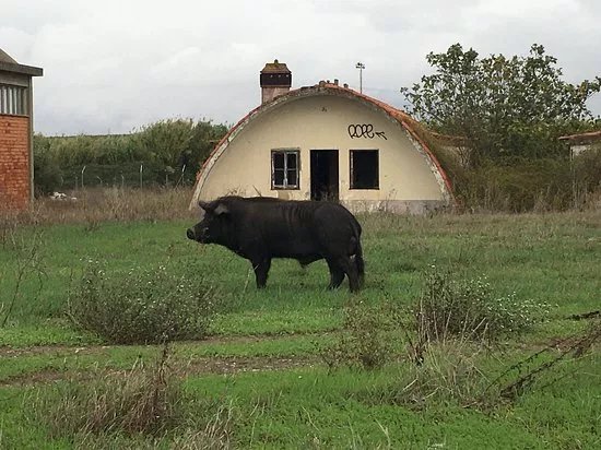Find Ferreira do Alentejo