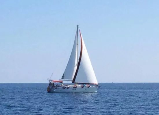Sail with a Dolphin