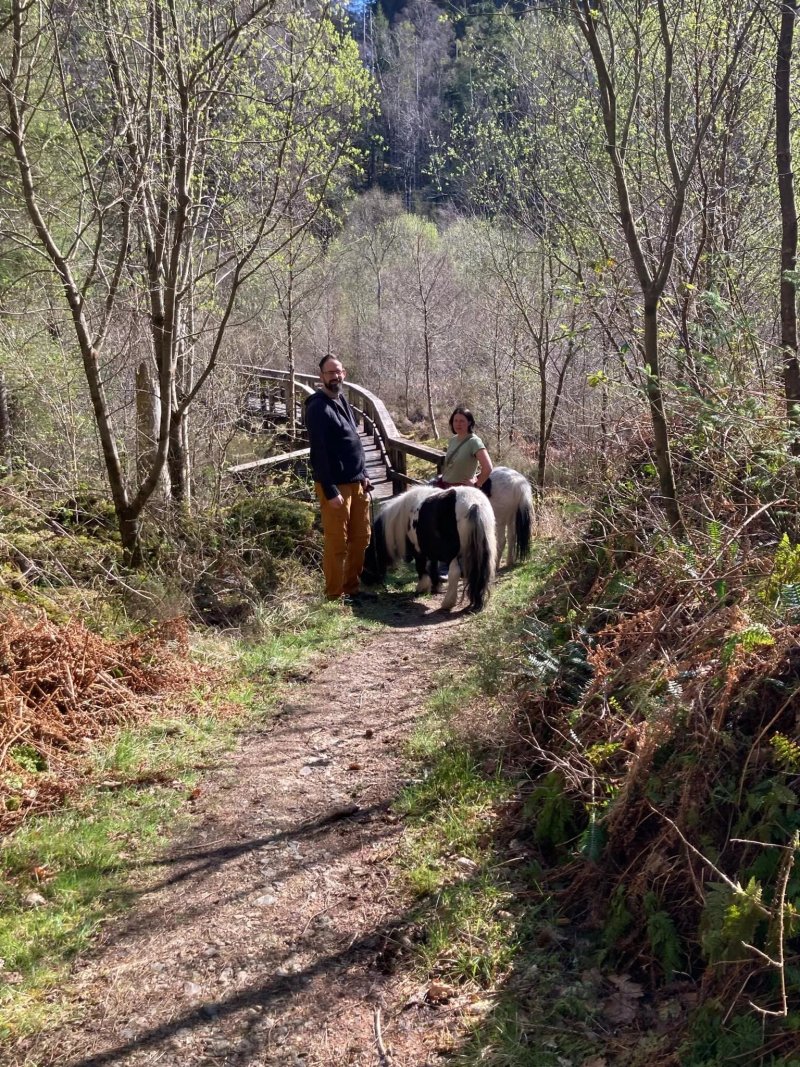 Horse Play Adventures