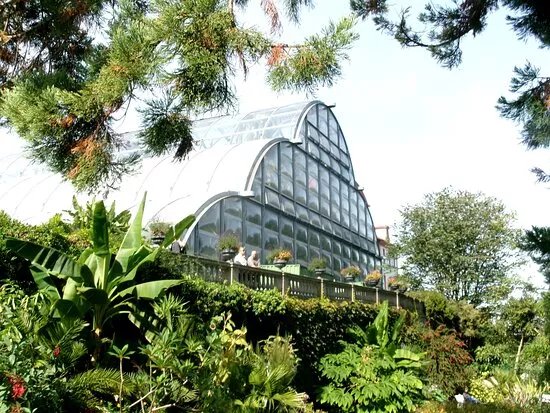 Palmenhaus - Insel Mainau