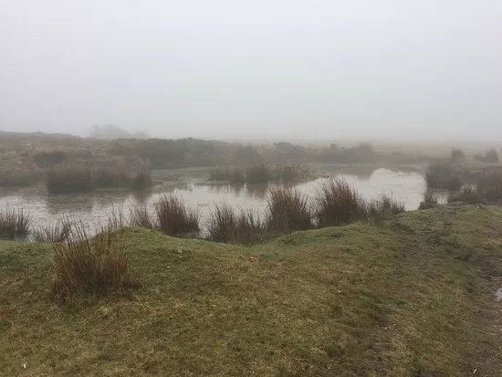 Cefn Bryn