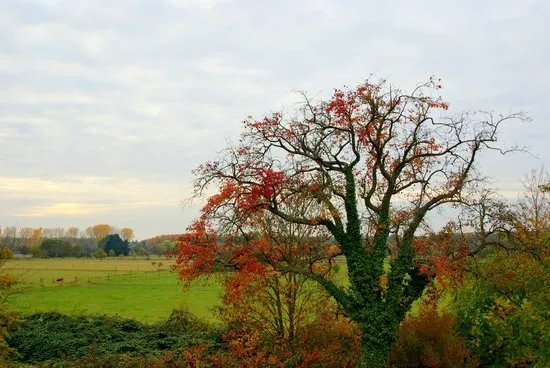 Naturerlebnispark Mundenhof