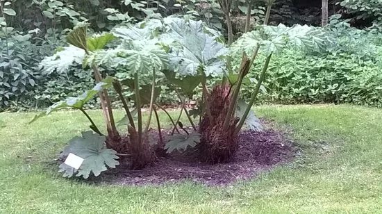 Altenburger Botanischer Erlebnisgarten