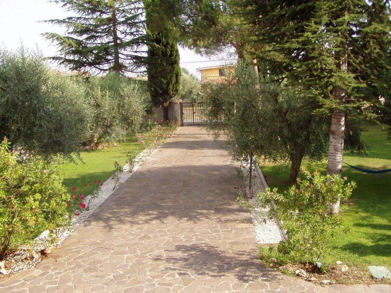 Vivienne's Guest House