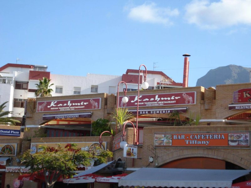 The Kashmir Indian Tandoori