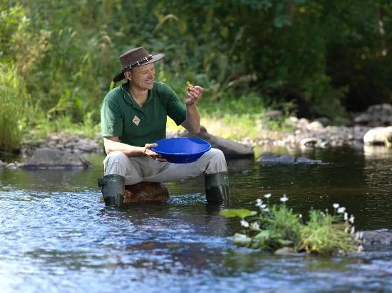Goldpanning in Adelfors