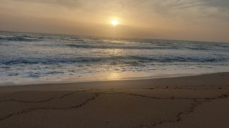 Playa De Los Saladares