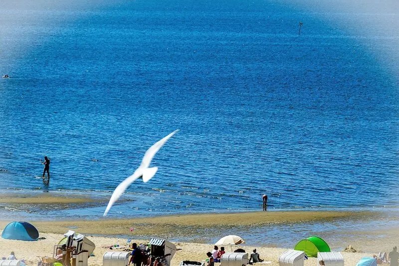 AS32 directly on the beach - Spend a wonderful vacation in a prime location!