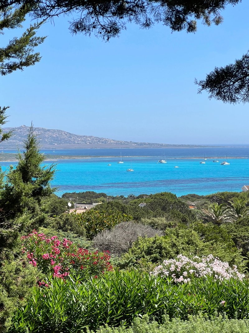 Villa Tellus - quiet luxury villa, private pool, stunning view, 5 min from beach