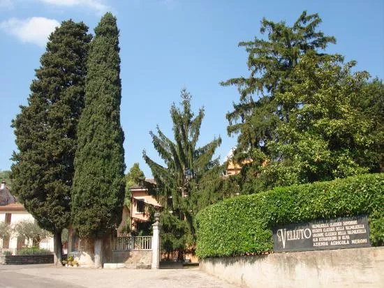 Azienda Agricola Meroni