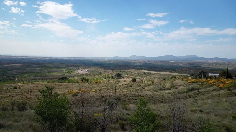 Ecocamping Borja