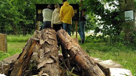 Escape Game au Verger : Le Pwairet par Le Siroteur
