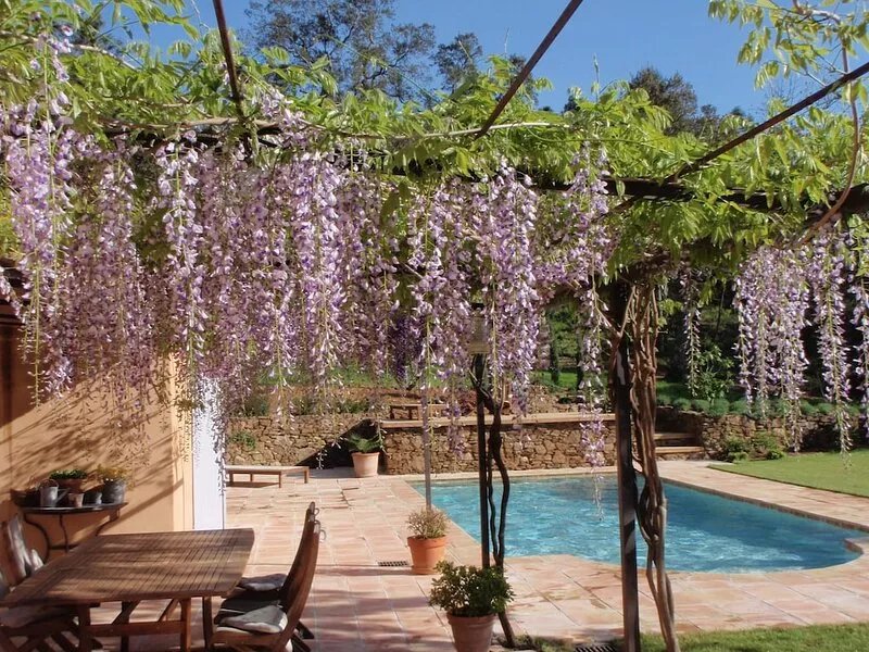 Charming villa with swimming pool in the countryside Near St TROPEZ